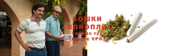 ECSTASY Дмитровск