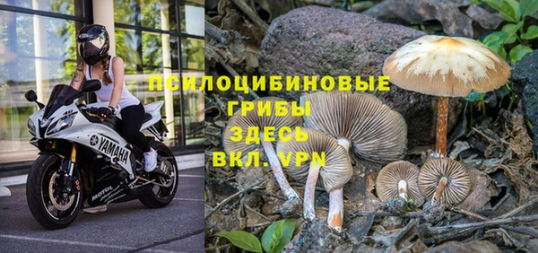 спайс Дмитров